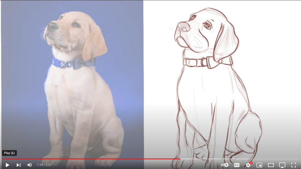 Creating Animals Like A&nbsp;Pro